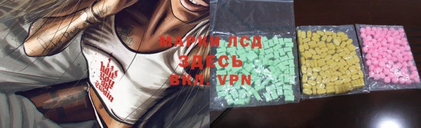 spice Дмитриев