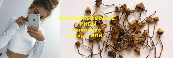 Альфа ПВП Горно-Алтайск