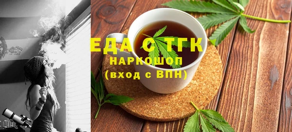 spice Дмитриев